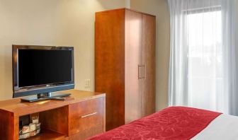 King room with TV at Comfort Suites Oakbrook Terrace.