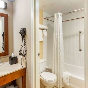 Private bathroom with shower at Comfort Suites Oakbrook Terrace.