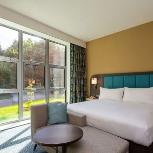 Day use room with natural light at DoubleTree By Hilton Nottingham - Gateway.