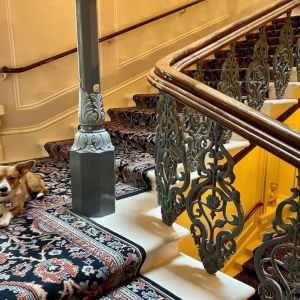 Pet-friendly hotel only at The Grand Brighton. 