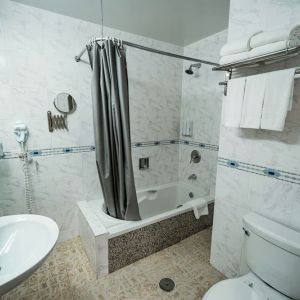 Guest bathroom with shower and tub at Congress Plaza Hotel.