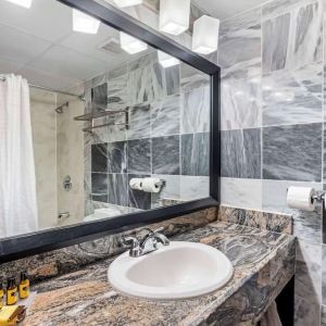 Guest bathroom with shower at Best Western Plus Newark Airport West.