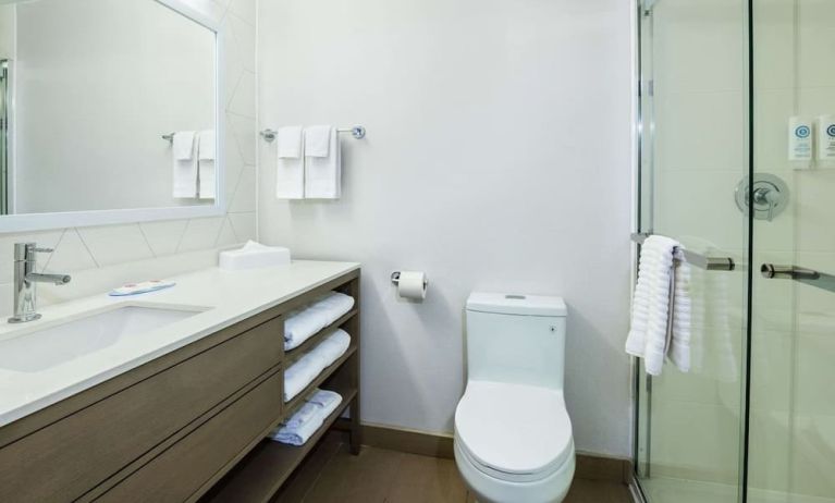 Private guest bathroom with shower and toiletries at Comfort Inn & Suites Barrie.