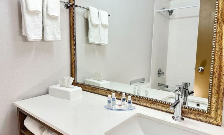 Private guest bathroom with shower and tub at Comfort Inn & Suites Barrie.