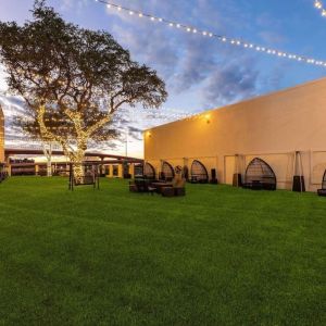 Hotel garden at Wyndham DFW Airport.