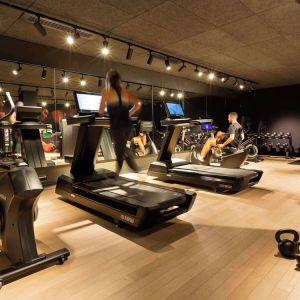 Fitness center at Pullman Lyon.