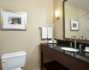 Private bathroom with shower and toiletries at the Hilton Saint John.