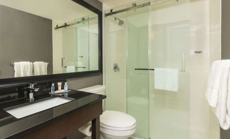 Guest bathroom with shower at Comfort Inn Sudbury East.