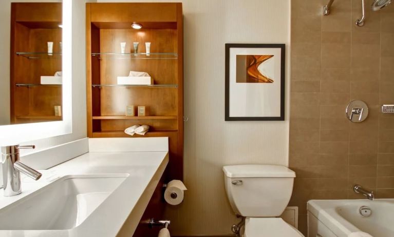 Private guest bathroom with shower and tub at Hilton Mississauga Meadowvale.