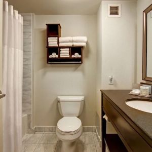 Private guest bathroom with tub at Hampton Inn By Hilton Toronto Airport Corporate Centre.