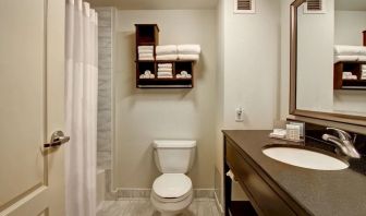 Private guest bathroom with tub at Hampton Inn By Hilton Toronto Airport Corporate Centre.