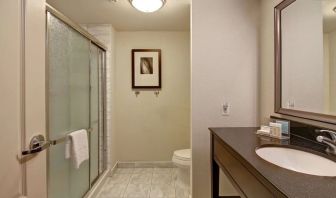 Private guest bathroom with shower at Hampton Inn By Hilton Toronto Airport Corporate Centre.