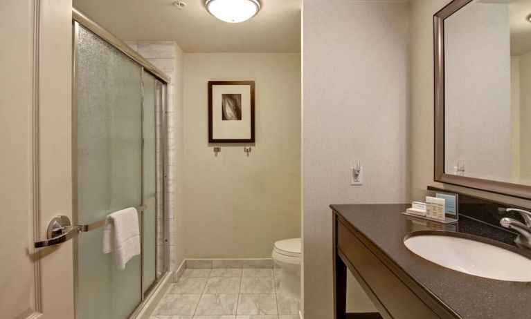 Private guest bathroom with shower at Hampton Inn By Hilton Toronto Airport Corporate Centre.