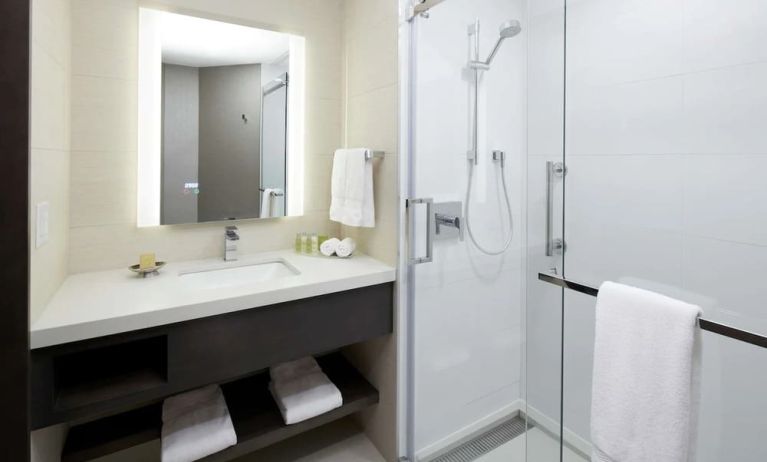 Private guest bathroom with shower and free toiletries at DoubleTree By Hilton Montreal.