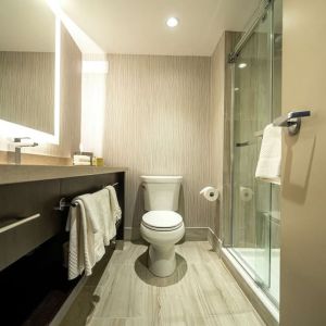 Private guest bathroom with shower and free toiletries at DoubleTree By Hilton Kitchener.