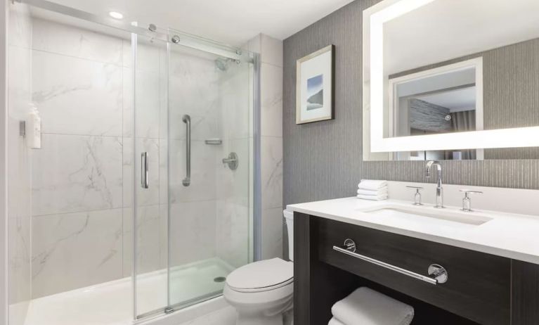 Private guest bathroom with shower at the Embassy Suites By Hilton Toronto Airport.