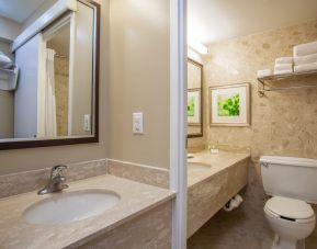 Day use private guest bathroom at Holiday Inn Toronto International Airport.