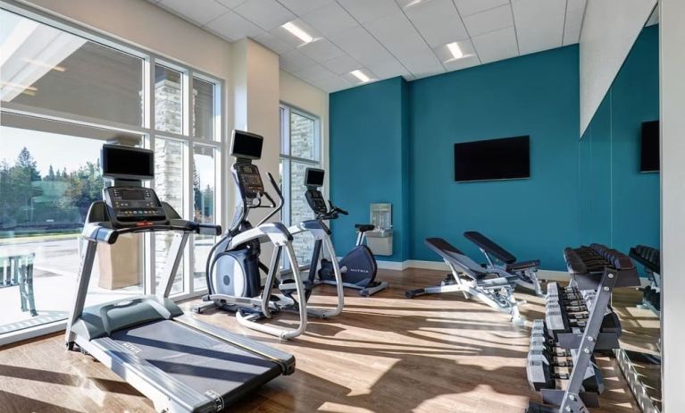 Fully equipped fitness center at Holiday Inn Express Kingston West.