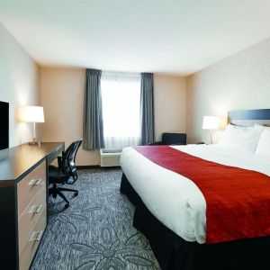 Day use room with TV, sofa, work desk and private bathroom at Quality Inn & Suites Kingston.