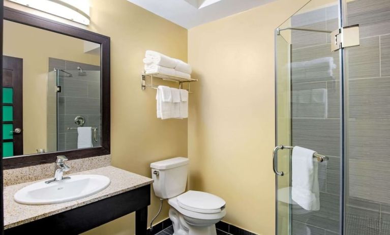 Private guest bathroom at La Quinta Inn & Suites By Wyndham Oshawa.