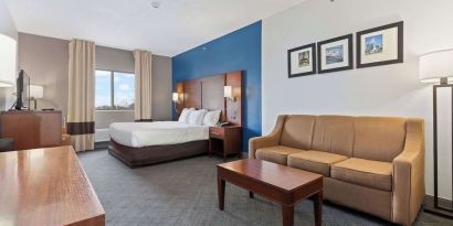 Spacious day use room at Comfort Suites Lombard - Addison.