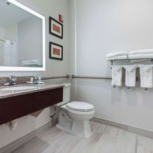 Guest bathroom with shower at Comfort Suites Lombard - Addison.