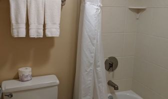 Guest bathroom with shower and tub at Best Western Braintree.