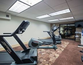 Fitness center at Holiday Inn Express Rolling Meadows-Schaumburg.