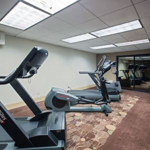 Fitness center at Holiday Inn Express Rolling Meadows-Schaumburg.