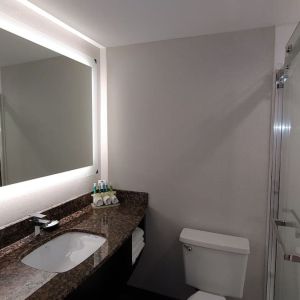 Guest bathroom with shower at Holiday Inn Express Rolling Meadows-Schaumburg.