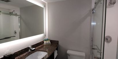 Guest bathroom with shower at Holiday Inn Express Rolling Meadows-Schaumburg.