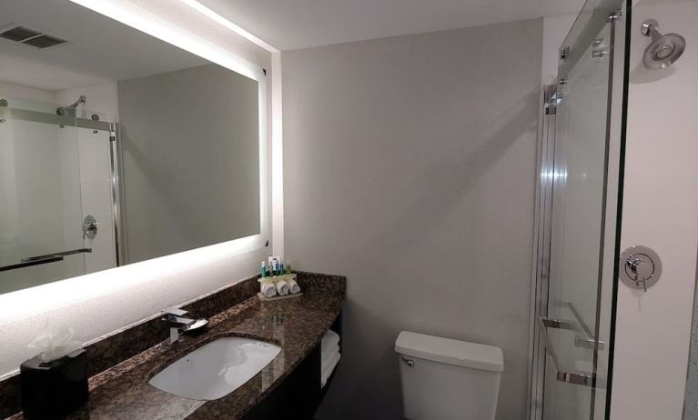 Guest bathroom with shower at Holiday Inn Express Rolling Meadows-Schaumburg.