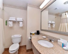 Guest bathroom with shower at Hampton Inn Deer Park.