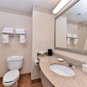 Guest bathroom with shower at Hampton Inn Deer Park.