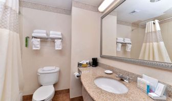 Guest bathroom with shower at Hampton Inn Deer Park.