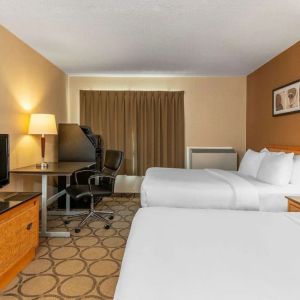 Day use twin room at Comfort Inn Prince Albert.