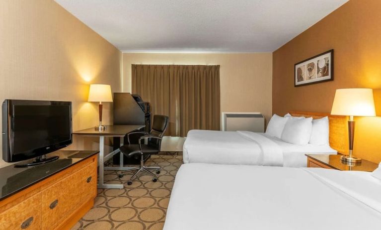 Day use twin room at Comfort Inn Prince Albert.