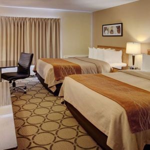 Day use twin room with work desk and private bathroom at Comfort Inn New Glasgow.