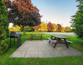 Outdoor picnic and BBQ area at Comfort Inn Kingston HWY 401.