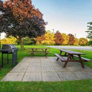 Outdoor picnic and BBQ area at Comfort Inn Kingston HWY 401.