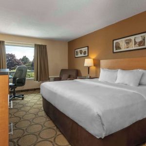 Day use room with TV, work desk and private bathroom at Comfort Inn Drummondville.