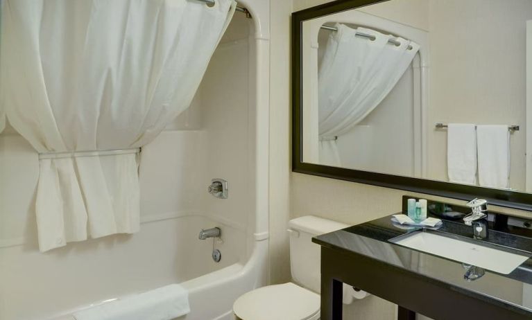 Guest bathroom with tub and free toiletries at Comfort Inn Alma.