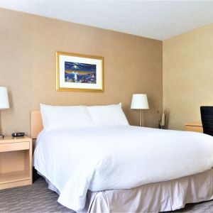 Day use room with work desk at Mount Peyton Resort & Conference Center.