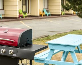 BBQ & Pinic area at Mount Peyton Resort & Conference Center.