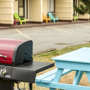 BBQ & Pinic area at Mount Peyton Resort & Conference Center.