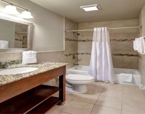 Guest bathroom with shower and tub at Hotel St. Pierre.