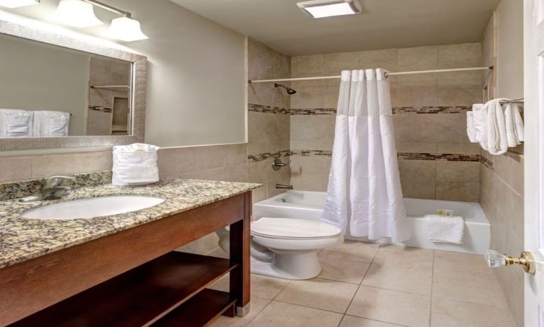 Guest bathroom with shower and tub at Hotel St. Pierre.