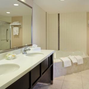 Guest bathroom with shower and hot tub at Holiday Inn Conference Center Edmonton South.