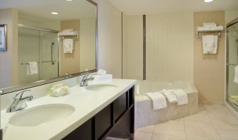 Guest bathroom with shower and hot tub at Holiday Inn Conference Center Edmonton South.