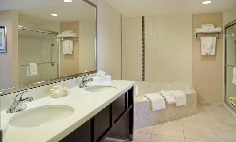 Guest bathroom with shower and hot tub at Holiday Inn Conference Center Edmonton South.